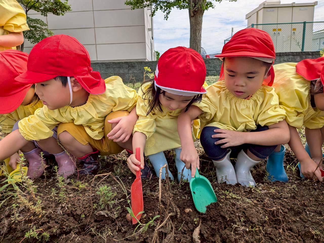 🥔たくさん見つけたよ🥔｜幼保連携型認定こども園 浦町保育園［公式